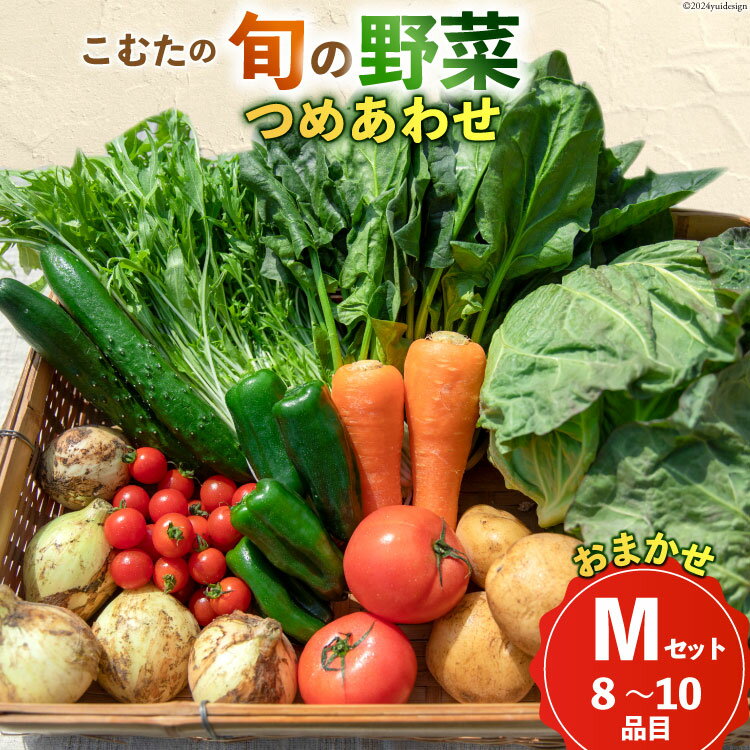 【ふるさと納税】 AI022【10〜5月限定出荷】こむたの旬の野菜つめあわせ(8〜10品目)おまかせ M セット 【 野菜 やさい 旬 種類 人気 オススメ 新鮮 詰め合わせ 春 こむた 小無田 青果 長崎県 島原市 】