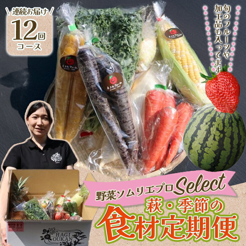 【ふるさと納税】野菜ソムリエプロselect／萩・季節の食材定期便 12回コース 国産 日本産 食品 食べ物 グルメ 新鮮 食材 食事 料理 おかず 惣菜 お弁当 ご飯のお供 食卓 山口県 萩市 美味しい おいしい プレゼント ギフト 贈り物 人気 おすすめ 贈答用 お祝い お中元