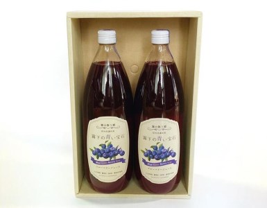  信濃町産のブルーベリーを贅沢に使った濃厚な「ブルーベリージュース」１L×２本セット【長野県信濃町ふるさと納税】