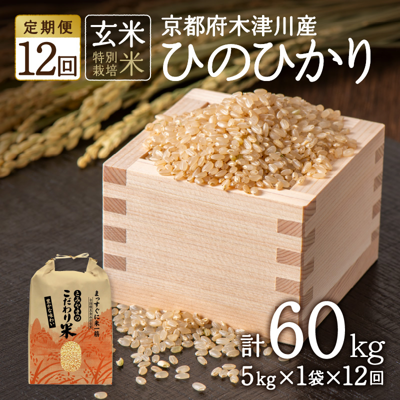【定期便12か月】<特別栽培米>京都府木津川市産ひのひかり 玄米60kg(5kg×12回） 毎日の健康に