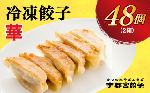 
【華】　餃子24個入り×2箱
