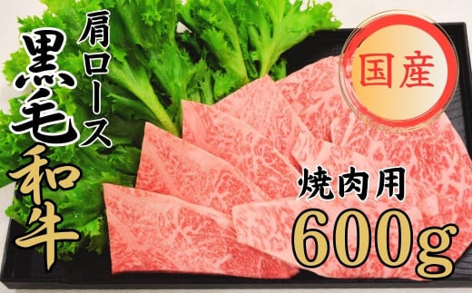 球磨牛 くまもと黒毛和牛 肩ロース 焼肉 600g 黒毛和牛 肩ロース 牛 焼肉