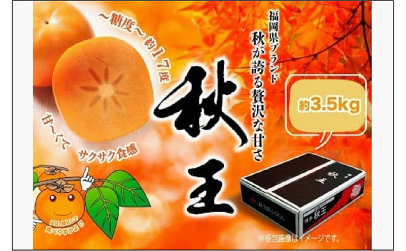 ＜2026年発送分・先行予約＞秋王　約3.5kg(11～14玉入)　柿 かき