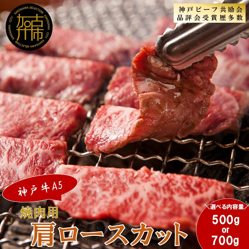 【ふるさと納税】【レビューキャンペーン】＼選べる内容量／【神戸牛A5】焼肉用 肩ロースカット 500g 700g