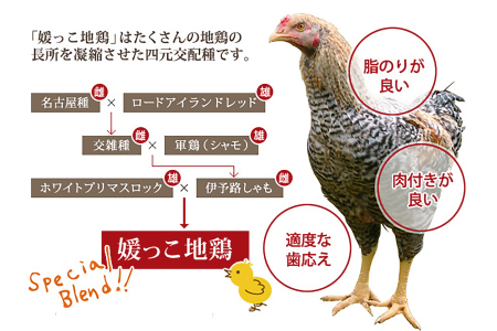 熊ヤン媛っこ地鶏のBBQセット