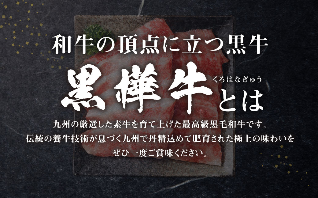 くまもと黒毛和牛 杉本本店 黒樺牛 A4~A5等級 焼肉用カルビ 250g