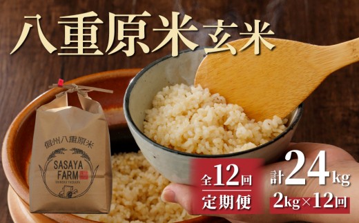 令和8年新米予約【12回定期便】八重原米2kg（2kg×1袋）玄米　※2026年10月以降順次発送｜笹屋農園「農薬削減長野県認証取得」特A米 コシヒカリ