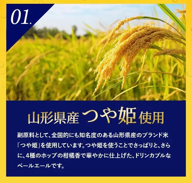 SC0711　【酒田トラディショナルビール】 クラフトビール Pale Ale　330ml×6本