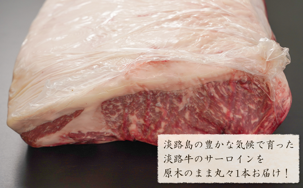 淡路牛 サーロイン 原木丸々1本 約6～8kg　　[ブロック 牛肉 冷凍]