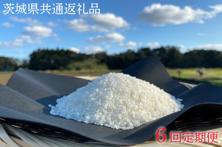 
            【6ヶ月定期便】【栽培期間農薬不使用】マキタ超こしひかり 白米5kg×6回【茨城県共通返礼品・行方市産】【おいしい お米 マキタ 減農薬 安心  鹿嶋市】（KBE-101）
          