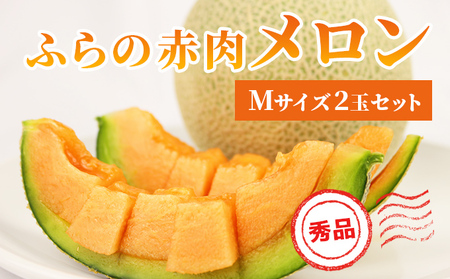 【 2026年発送 先行予約 】ふらの 赤肉メロン 厳選 秀品 Mサイズ 1.3kg～1.6kg 2玉 セット ファーム富良野 メロン めろん 果物 くだもの フルーツ 富良野 デザート 北海道 北海道上富良野町 