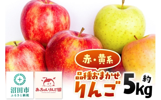 《11月上旬～下旬にお届け》品種おまかせ りんご 約5kg（13～18個前後）箱入り あっちゃんりんご園 [林檎 りんご リンゴ 5kg フルーツ 果物 くだもの 群馬県 沼田市]