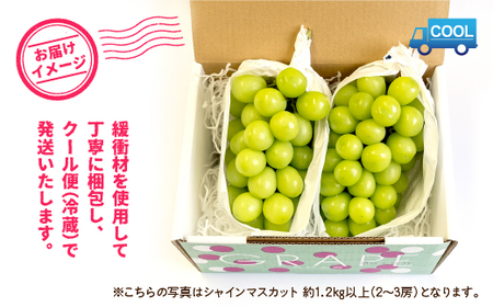 ＜2024年先行予約＞産地厳選シャインマスカット1.2kg～1.3kg（2房～3房）※沖縄・離島配送不可※ 106-003