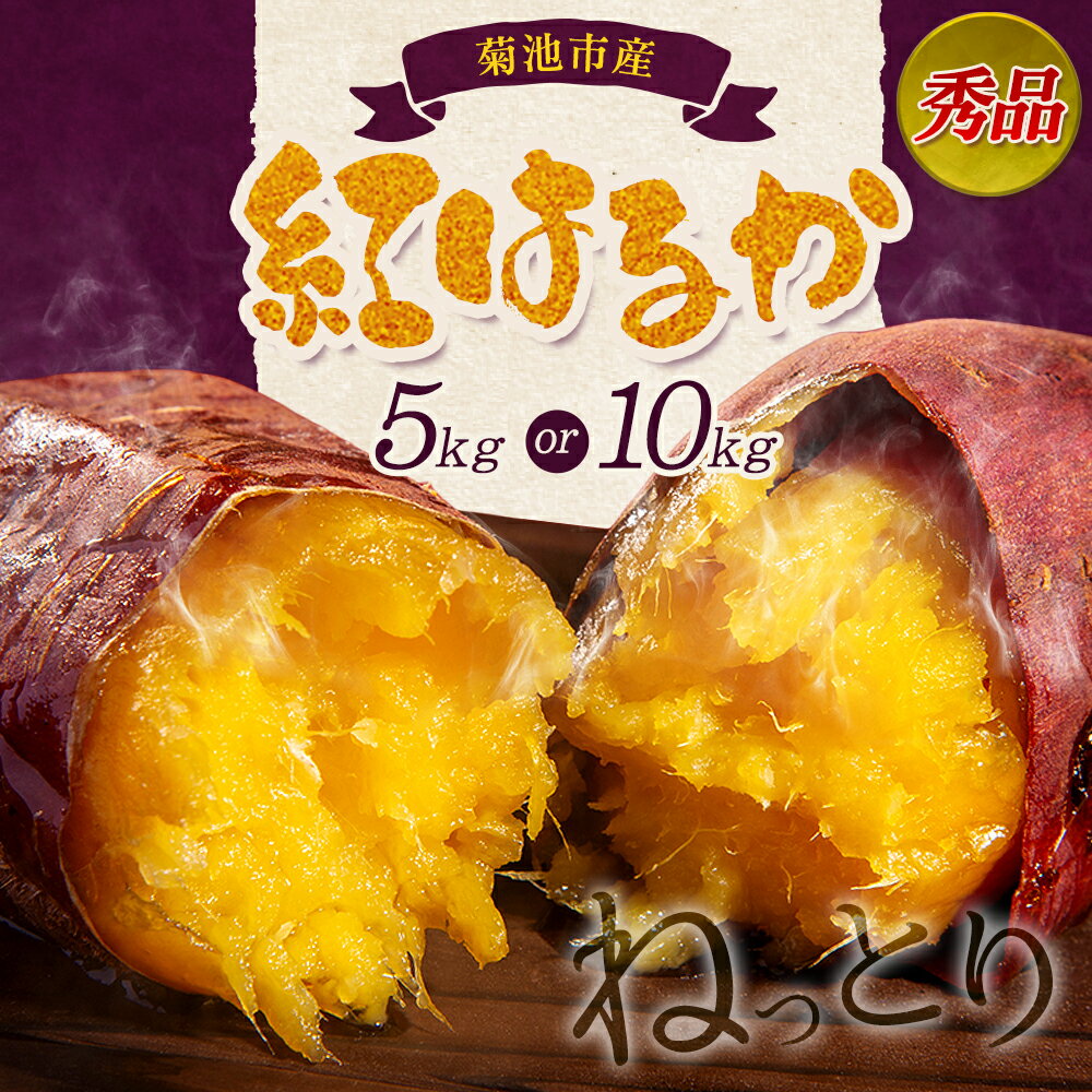 【ふるさと納税】秀品 紅はるか 選べる内容量 約5kg 約10kg S〜2L混合 株式会社Foody’s 《90日以内に発送予定（土日祝を除く）》熊本県 菊池市 さつまいも 芋 紅蜜芋 焼き芋 野菜 菊池市産 熊本県産 九州産