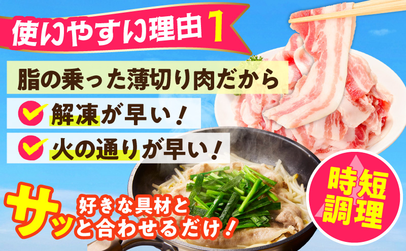 【数量限定】国産 豚バラ 切り落とし 2kg【味付け 豚肉 400g×5P 小分け 訳あり 部位不揃い 大阪 泉佐野 大阪府 泉佐野市】