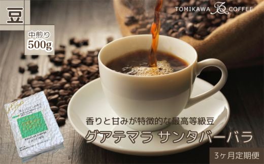 
										
										【3ヶ月定期便】自家焙煎コーヒー豆専門店とみかわの「グアテマラ サンタバーバラ」500g（豆）
									