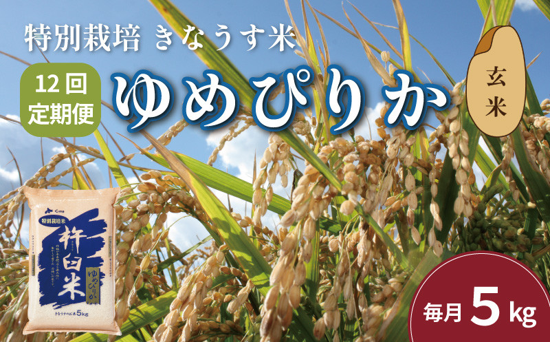 
            【玄米12ヶ月定期便】特別栽培「きなうす米」ゆめぴりか5kg×12回　P012
          