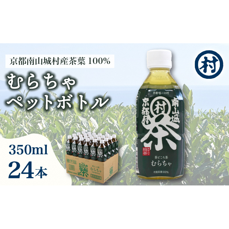 むらちゃPETボトル緑茶 350ml 24本 飲料 お茶 緑茶 日本茶 ペットボトル かぶせ茶 香り 旨味 南山城村公式飲料 南山城村 京都府_イメージ1