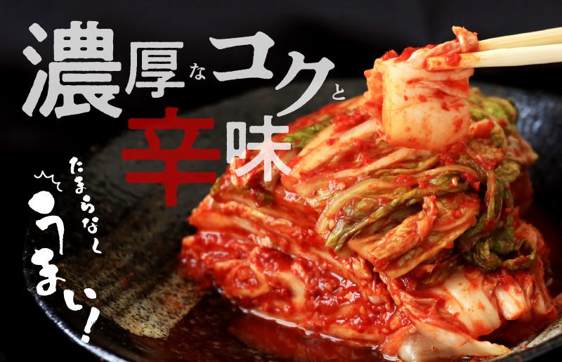【リピーター続出】はくさいキムチ 500g【新鮮野菜 高評価 人気 惣菜 きむち 漬物 韓国グルメ おつまみ 家計応援】 005A065