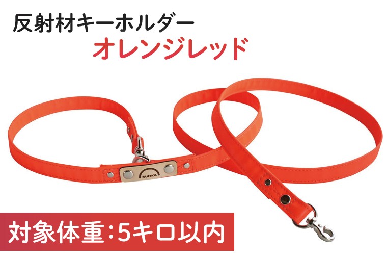 
            『白×虹柄』反射材の光る犬用リード【小型犬5kg用】【散歩 愛犬 夜散歩 阿見町 茨城県】(40-05)
          