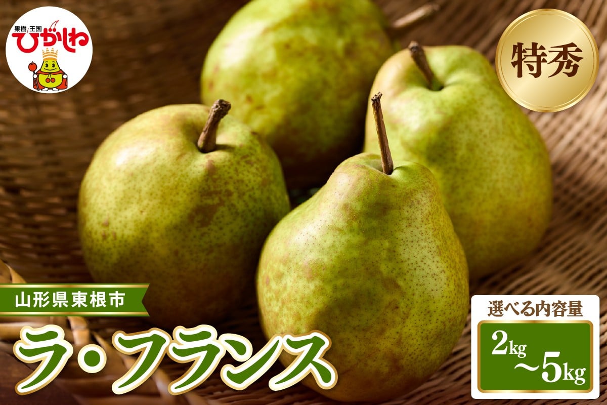 
                  【2026年産 先行受付】≪内容量が選べる≫　 東根市産ラ・フランス 特秀品  (玉数おまかせ)【約2kg・約3kg・約5kg)】ベジフルひがしね 山形県 東根市 hi104-013-o
                