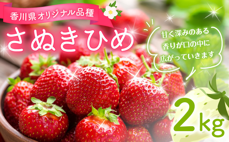 
            M02-0028_香川県オリジナル品種 さぬきひめ約2kg（1月以降発送）   果物・野菜 いちご イチゴ 苺
          