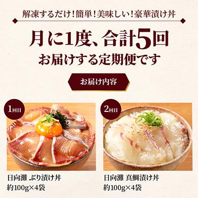 ふるさと納税 延岡市 【毎月定期便】【ふるさと納税】日向灘 海鮮漬け丼 バラエティ全5回 |  | 01
