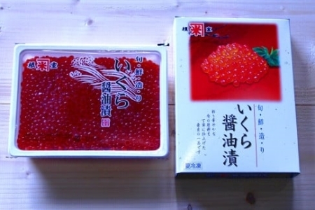 【北海道根室産】いくら醤油漬け500g×2P C-52001【12月20日決済分まで年内配送】