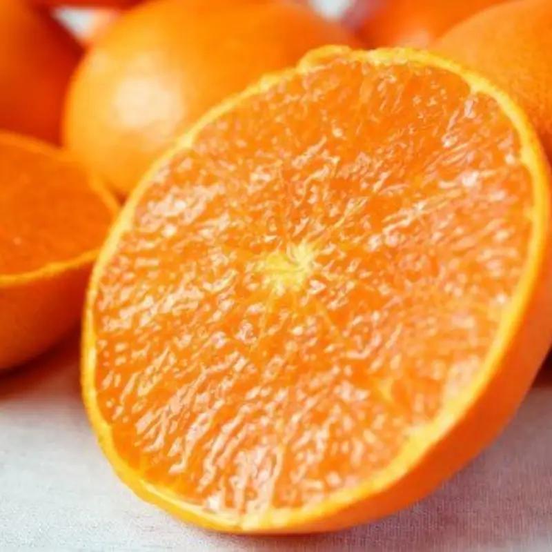 【ご家庭用訳あり】ジューシー柑橘 せとか 約3kg【先行予約】※2027年2月下旬頃〜3月中旬頃発送予定（お届け日指定不可） せとか みかん ミカン 柑橘 フルーツ 果物 くだもの【uot834B】