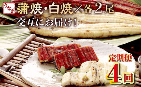 【4回定期便】うなぎ蒲焼き・白焼き2尾 | うなぎ 定期便 国産 うなぎ 定期便 うなぎ 定期便