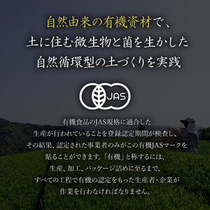 【先行予約 2026年5月11日以降順次発送予定】 新茶 3種 オーガニック新茶