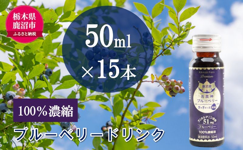 無添加 砂糖不使用 のぎゅぎゅっと 100％ 濃縮 ブルーベリードリンク 3箱 （50ml×15本） 果汁飲料 野菜飲料 ブルーベリージュース 美味しい 濃縮し 高糖度 添加物 安全 安心 アントシアニン 手軽 飲み物 
