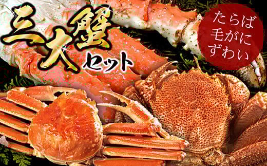D-56009 北海三大カニセット(たらばがに足、毛ガニ、ずわい)