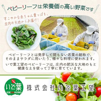 ふるさと納税 庄内町 庄内産 ベビーリーフミックス 70g×4袋と野菜用ハーブ塩セット 土耕栽培 サラダ スムージー 若葉 |  | 01