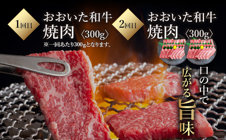 《定期便》おおいた和牛 定期便A_B163-010【牛 牛肉 和牛 おおいた和牛 セット 焼肉 すき焼き ステーキ ハンバーグ 合挽 定期便 定期 のし 贈答 贈り物 冷凍 送料無料 4回 別府市】