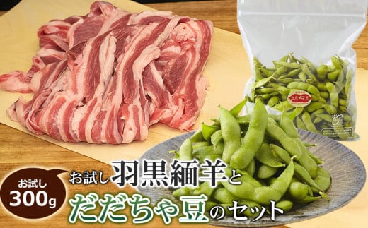 【令和7年産先行予約】お試し羽黒緬羊300gとだだちゃ豆のセット　肉バルYAKU禄