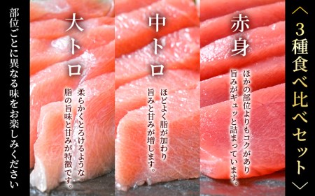まぐろの王様！生本マグロ！まぐろ三昧おひとり様ミニセット合計150g前後（赤身・中トロ・大トロ各約50g） [e04-a122] 