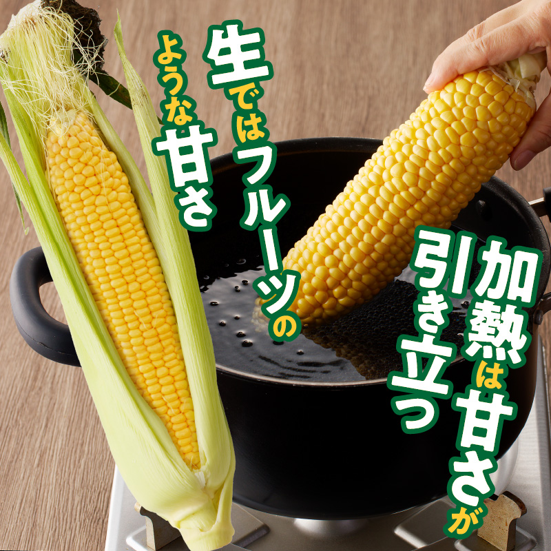 SDGs米糠堆肥で作ったとうもろこし「博多あまっコーン（品種おおもの）」約4.5キロ以上