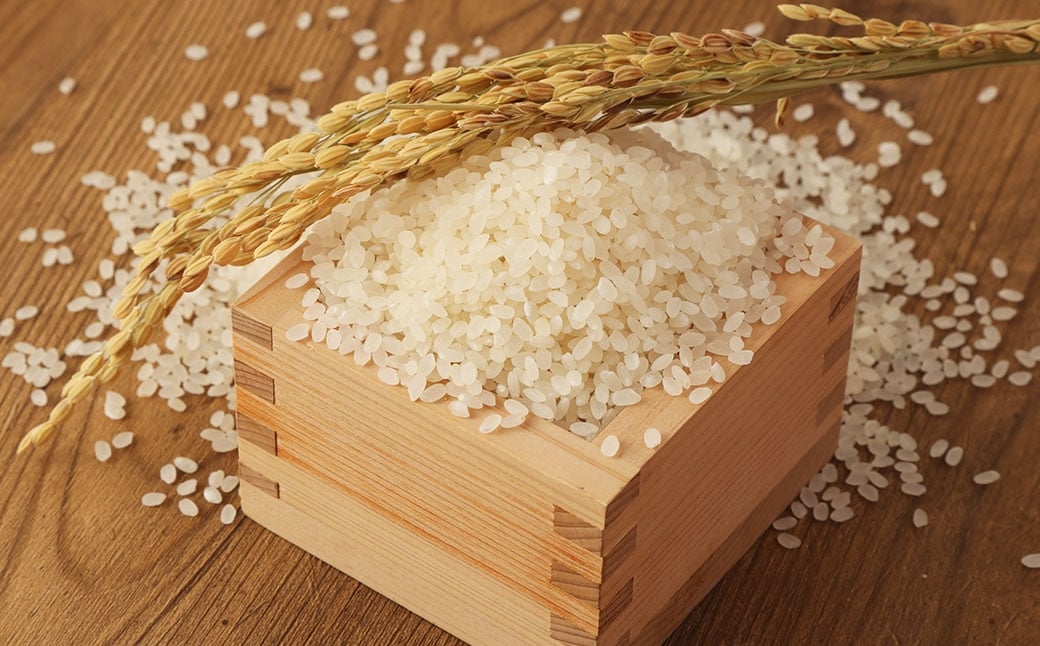 【令和7年産】無洗米 食味鑑定士厳選 夢つくし 30kg（5kg×6袋）