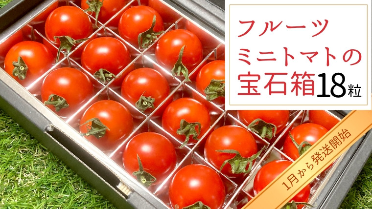 
            フルーツミニトマト の 宝石箱 18粒 【2025年1月から発送開始】 野菜 トマト フルーツ ミニトマト フルーツ
          