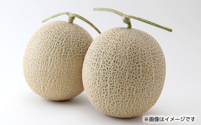 【先行予約】アールスメロン　1玉　約1.3kg以上【くまふる】 [ZBG083]