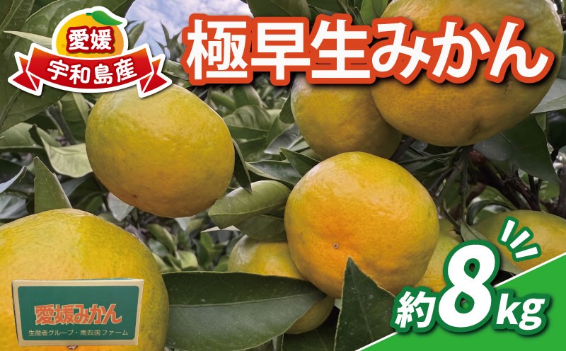 
                  【9月～10月発送予定】みかん 極早生みかん 南四国ファーム 8kg 先行予約 愛媛みかん ミカン 温州みかん 温州 さっぱり 爽やか 酸味 果物 くだもの フルーツ 柑橘 mikan 蜜柑 愛媛蜜柑 愛媛みかん サイズ 不揃い 産地直送 数量限定 国産 愛媛 宇和島 B010-035021
                