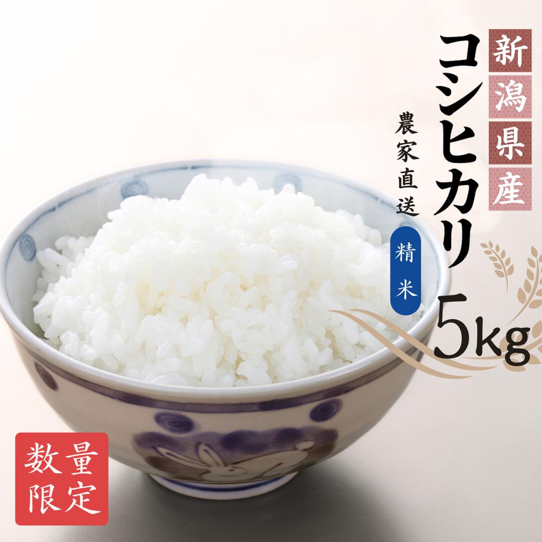 【ふるさと納税】【農家直送】令和7年産 出雲崎町産コシヒカリ（5kg）直播栽培 お米 新潟県産コシヒカリ こしひかり おこめ コメ 白米 精米
