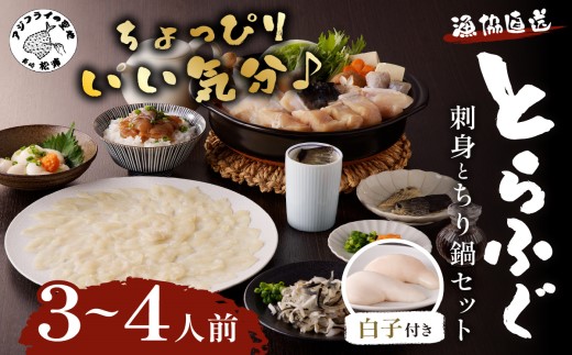 漁協直送！とらふぐ刺身とちり鍋セット3〜4人前(白子、茶漬け付)【F6-001】