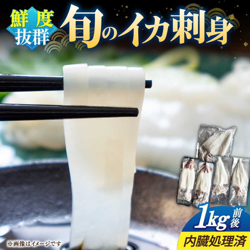 【ふるさと納税】旬のイカ刺身1kg前後《壱岐市》【馬渡水産】[JAQ027] いか イカ 烏賊 剣先 アオリ あおり スルメ するめ 刺身 刺し身 お刺身 海鮮 魚介