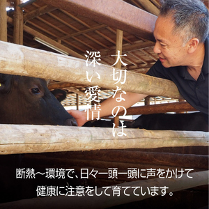 牛肉 京都もり牛 和牛 ホルモン 1kg 小分け 京都府産 国産 国産牛 黒毛和牛