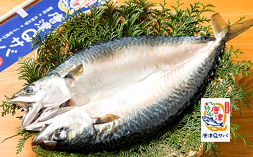 
佐賀玄海漁協ブランド「唐津Qサバ」干物
