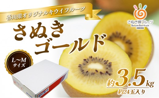 
                  [№4631-2064]さぬき ゴールドキウイ L～４Lサイズ16玉～ 24玉 3.5kg ゴールデンキウイ キウイフルーツ キウイ フルーツ 果物 くだもの 果実 旬の果物 旬のフルーツ 香川 香川県 東かがわ市
                