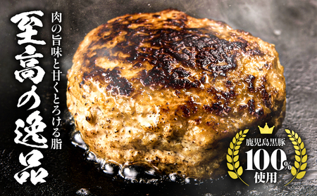 鹿児島県産黒豚生ハンバーグ 800g（80g×10個） KN054-013 ハンバーグ 黒豚生ハンバーグ 黒豚ハンバーグ 鹿児島県産黒豚 惣菜 総菜 冷凍 朝食 昼食 夕食 美味しい 個包装 鎌田黒豚