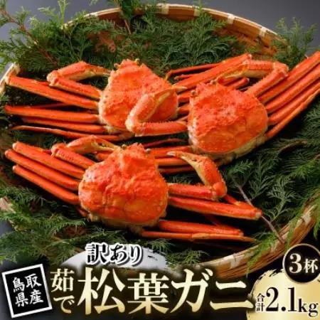 【先行予約】鳥取県産 訳あり 茹 松葉がに 700g×3杯(中村商店)2026年11月発送【配送不可地域：離島・北海道・沖縄県・東北・信越、北陸】【1654056】
